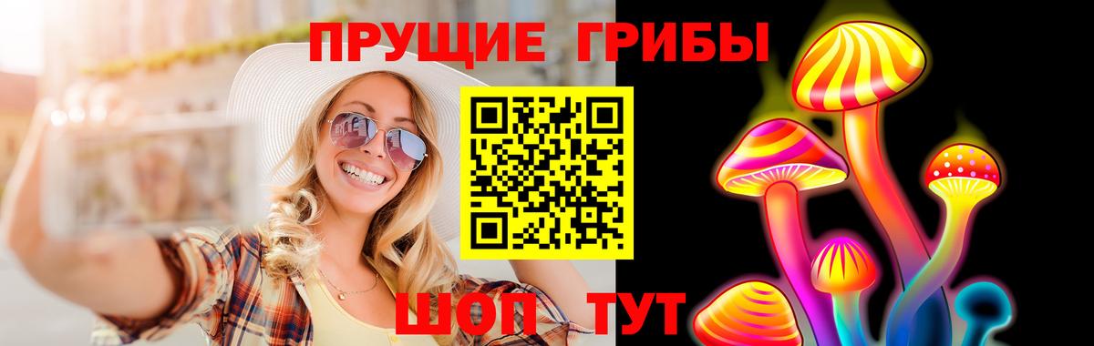 Сибай  Галлюциногенные грибы Cubensis  Вход с VPN 